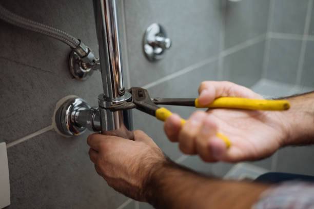 Best Clogged Drain Plumber  in Nedrow, NY